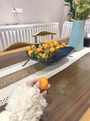 -苏州卫康美容医院