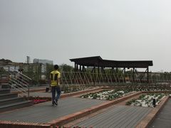 -得丘礼享谷·玉兰苑