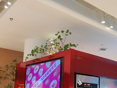 -老板恋上鱼(恒隆广场店)