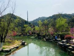 -桃花岭景区