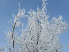 -中旅松花湖滑雪场