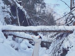 -峡谷浮石林景区