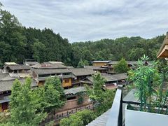 -雅安上里古镇