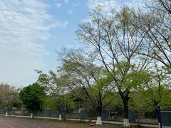 -广东科技学院(南城校区)