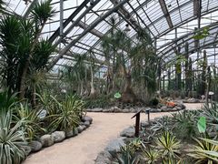 -南山植物园