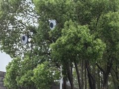 -宜兴龙背山森林公园