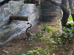 -上海动物园(地铁站)