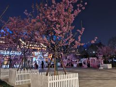 -龟山风景区-龟山电视塔