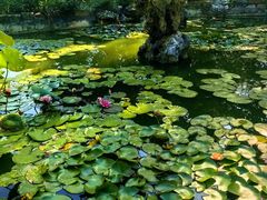 -国家植物园南园