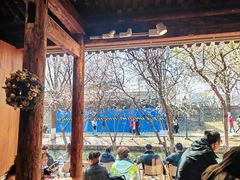 -春风习习