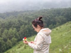 -灵山
