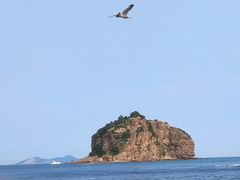 -棒棰岛宾馆景区