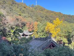 -韬光茶庵