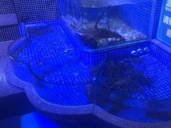 -青蓬蒸汽海鲜·深圳老字号·团建聚会(壹方城店)