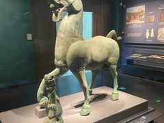 -广西壮族自治区博物馆