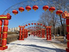 -沈阳奥体冰雪嘉年华