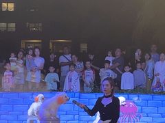 -渔家火锅·海鲜自助餐·演艺(亚龙湾天域酒店)