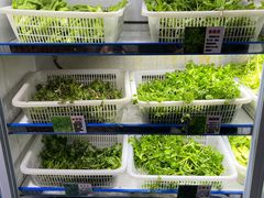 野菜-黔府豆米火锅野菜馆(南马店)