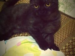 -南宫温泉水世界