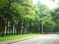 -麓湖高尔夫球俱乐部