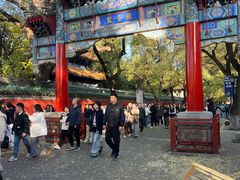 -北京国子监胡同