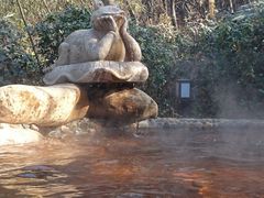 android_upload_pic-天目湖涵田半山温泉水乐园