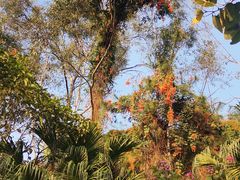 -水濂山森林公园