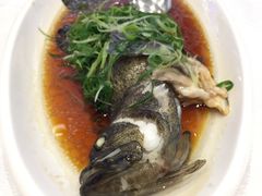 -金翠皇宫粤菜·点心·海鲜(科技园店)