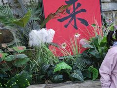 -秦岭终南山世界地质公园翠华山景区