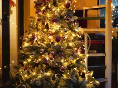 -EATALIA意塔利意式餐厅(鼓楼店)