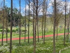 -牛岗山公园