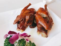 脆皮乳鸽-新南华大酒店(长寿店)