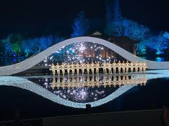 -印象西湖·最忆是杭州实景演出