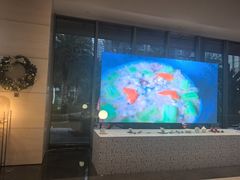 -大堂吧·雪茄吧·威士忌·下午茶(深圳机场希尔顿逸林酒店)