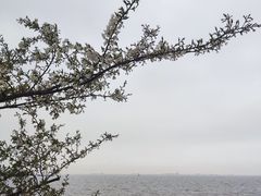 -上海滨江森林公园