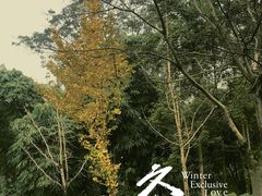 -重庆彩云湖湿地公园