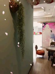 -荟草堂专业祛痘连锁机构