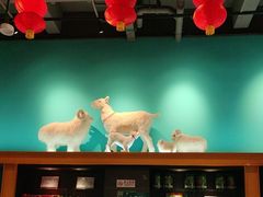 -大白羊蝎子馆(后沙峪山姆店)