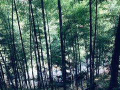 -藏龙百瀑风景区