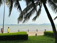 -深圳湾公园(南山区)