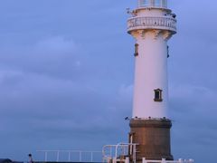 -上海吴淞炮台湾国家湿地公园