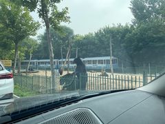 -秦皇岛野生动物园
