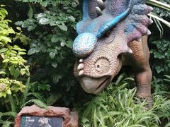 -呀路古热带植物园