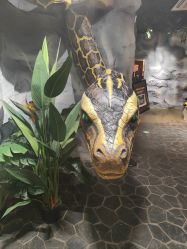 -Zoolung Zoolung动物主题公园(海信广场店)