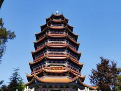 -铁山坪森林公园