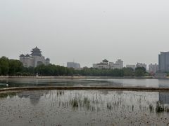 -莲花池公园
