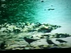 -橙天嘉禾影城(苏州印象城店)