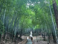 -敬亭山风景名胜区