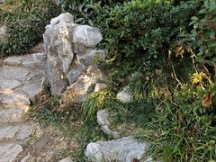 -郑和公园