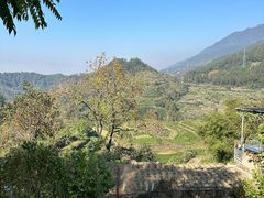 -杨家堂村